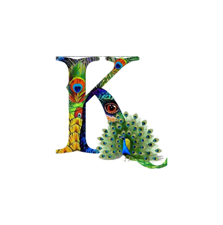 logo image