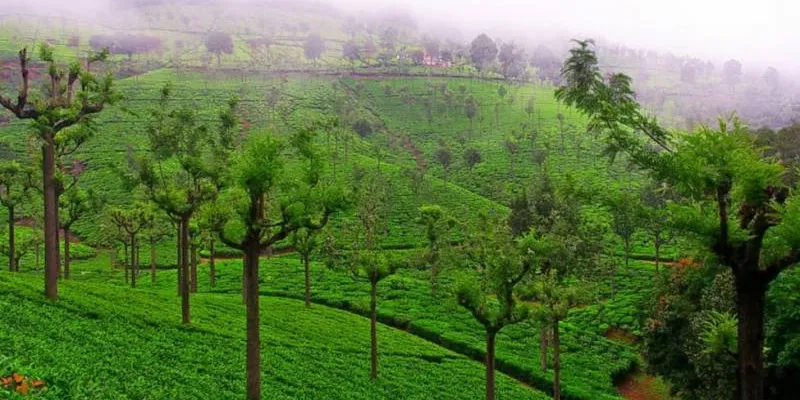Karnataka Tour Package 6 Night - 7 Days