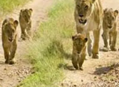 Glimpse Of Gujarat Tour Package itinerary for 7 Days / 6 Night