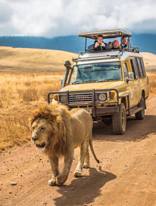Tanzania tourism guide – top international tourist destination