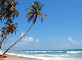 Colva Beach tourist attraction in Goa