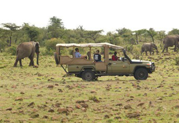 Top game drives tour packages for wildlife adventures