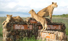 Kenya Holiday Tour Package from India